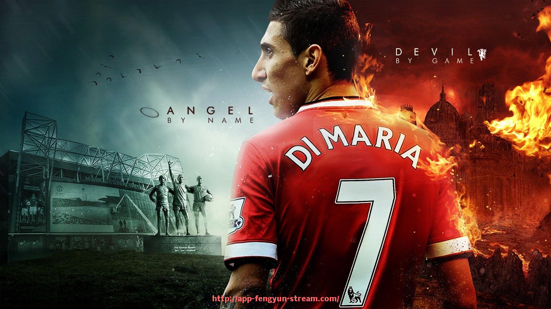 风云直播-健身房投资建设健身器材的成本预算方案